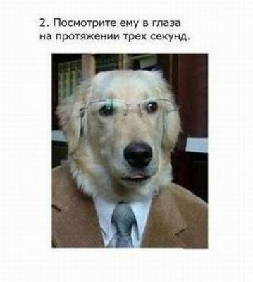 Прикрепленное изображение: 2.jpg